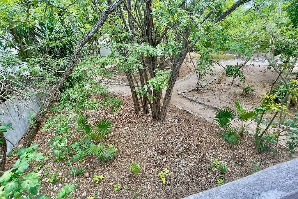 別荘 プレヤデルカーメン Breezy And Fresh House With Roof Just 25 Min Walk To Seaヴィラ