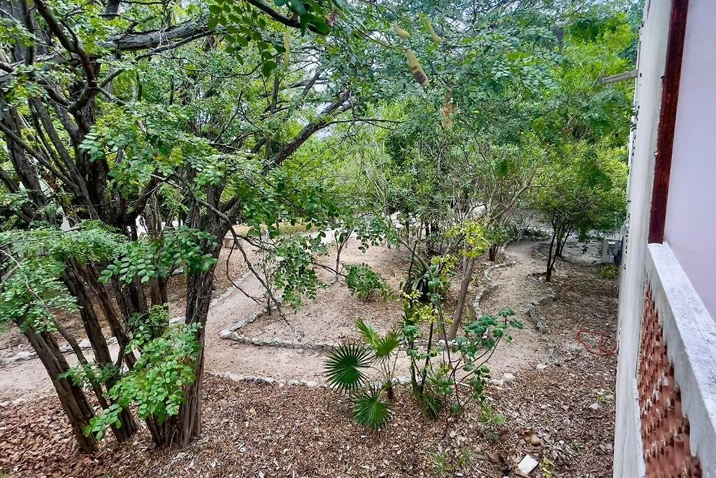 Breezy And Fresh House With Roof Just 25 Min Walk To Sea Villa Playa del Carmen 0*,  Mexico