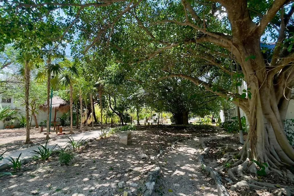 Holiday home Breezy And Fresh House With Roof Just 25 Min Walk To Sea Villa Playa del Carmen
